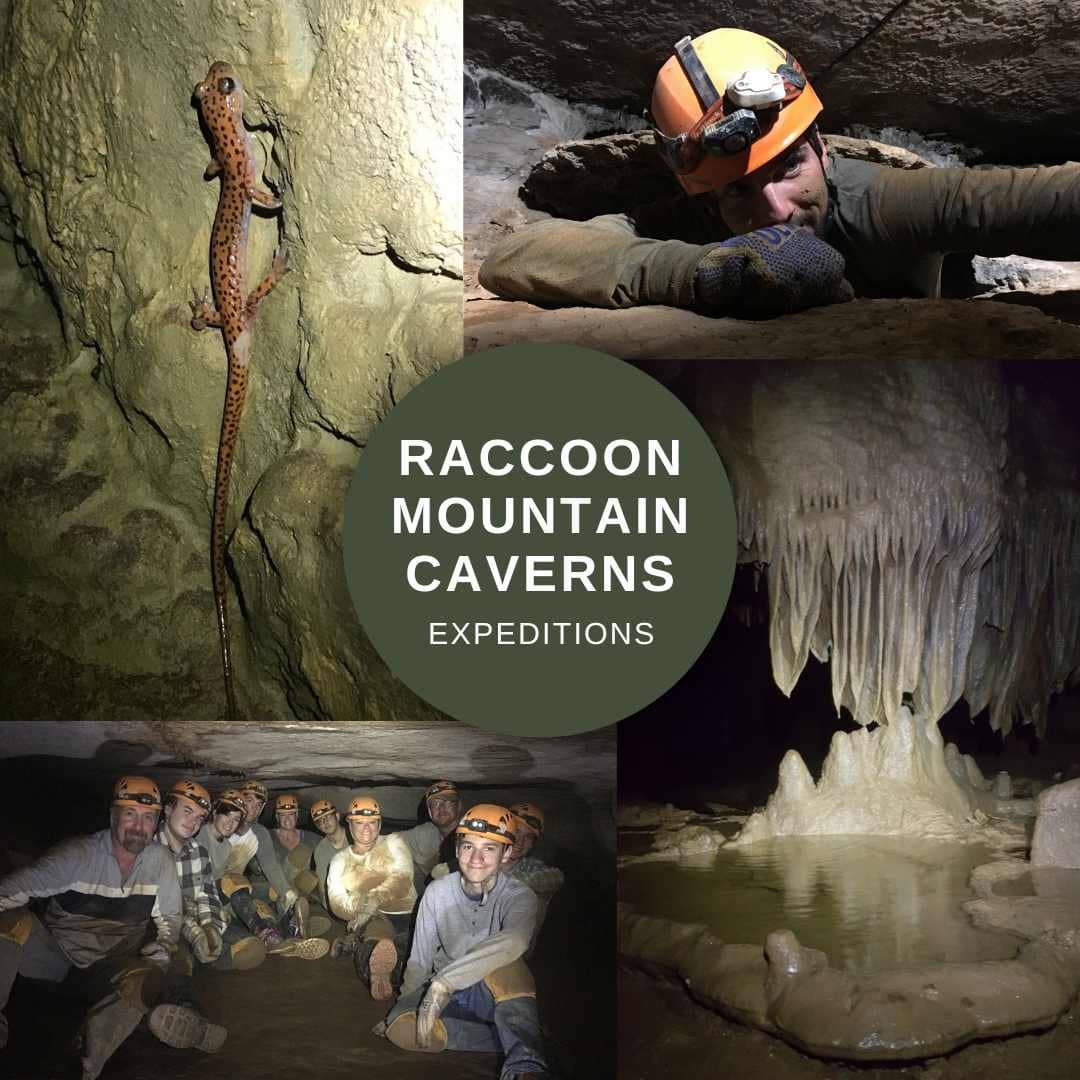 Caverns Crawl Tour