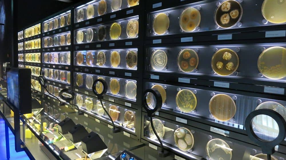 Microbe Cultivation Lab