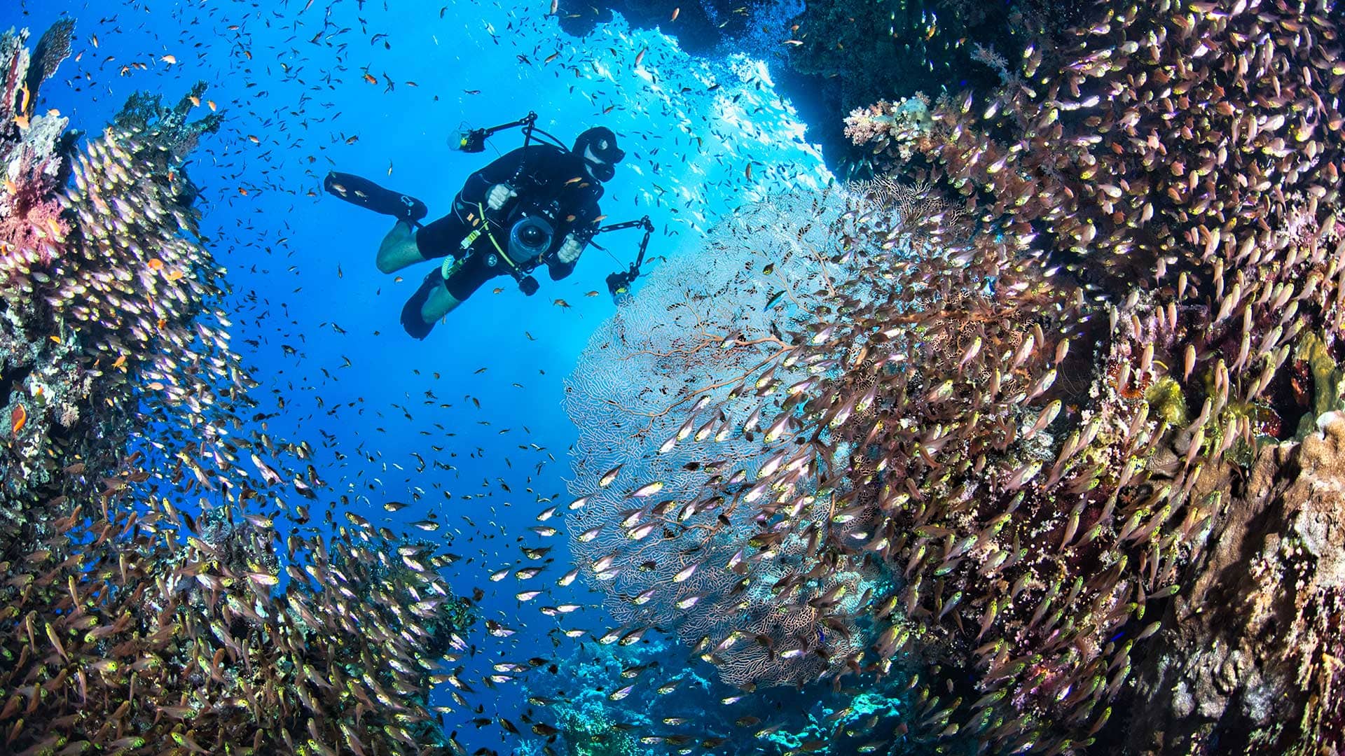 Drift Dive Experience