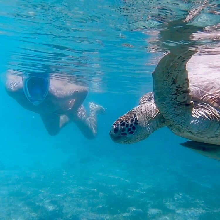 Crystal-Clear Snorkeling Waters