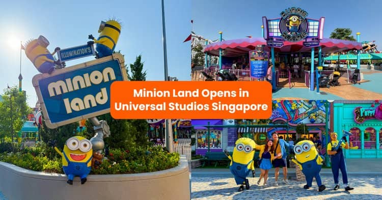Minion Land