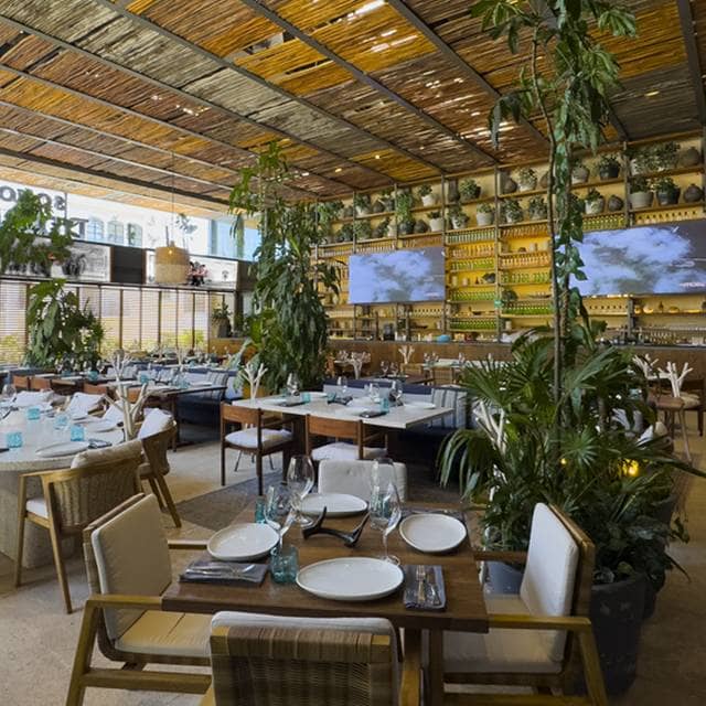 Dining and Coffee Breaks