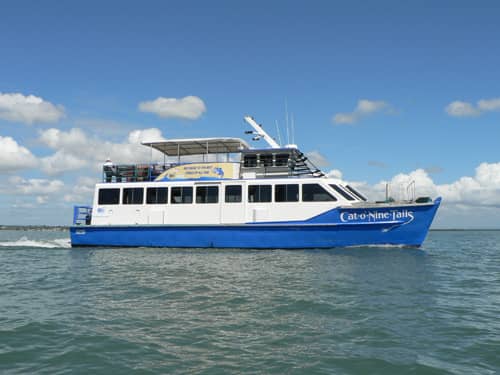 Educational Guided Tours