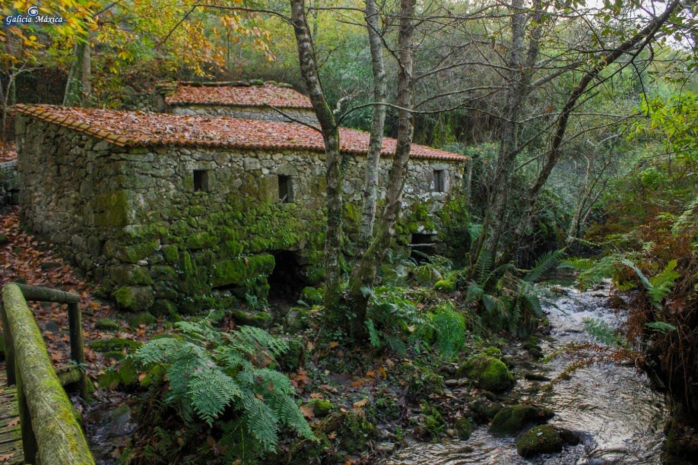 Muíños do Tripes Trail