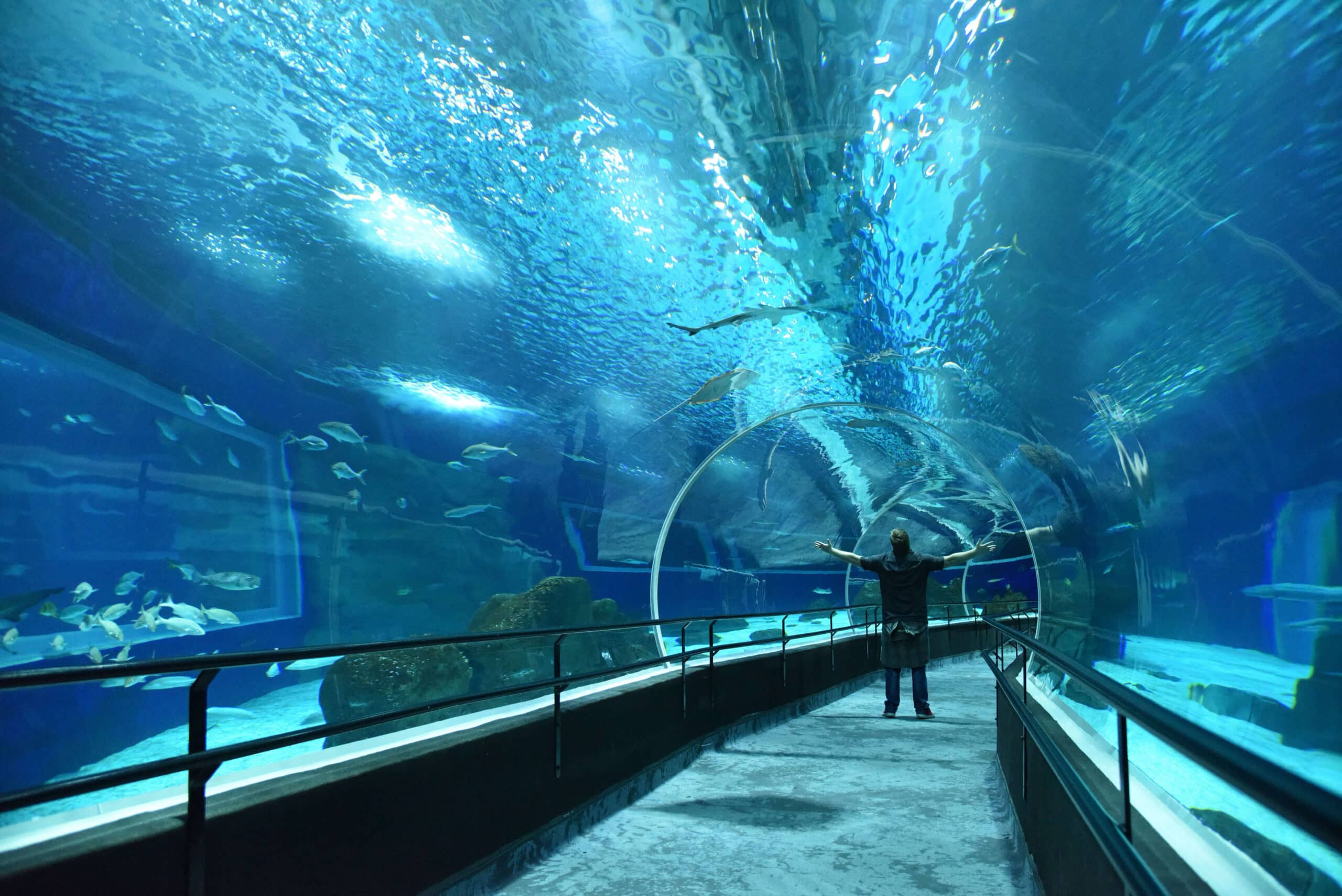 AquaRio