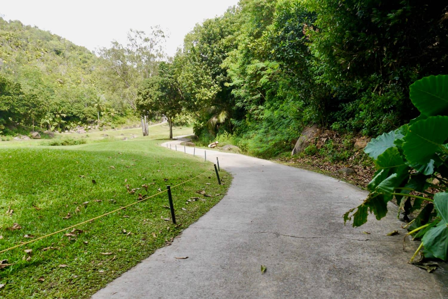 Scenic Golf Course Walk