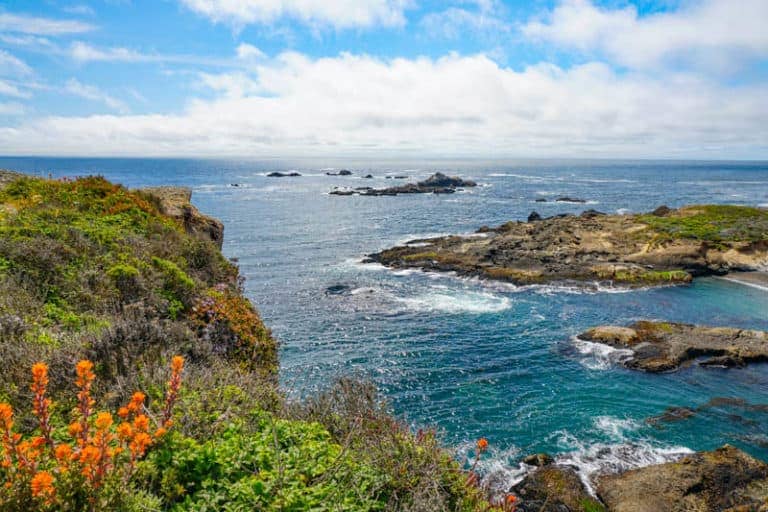 Point Lobos Loop Trail