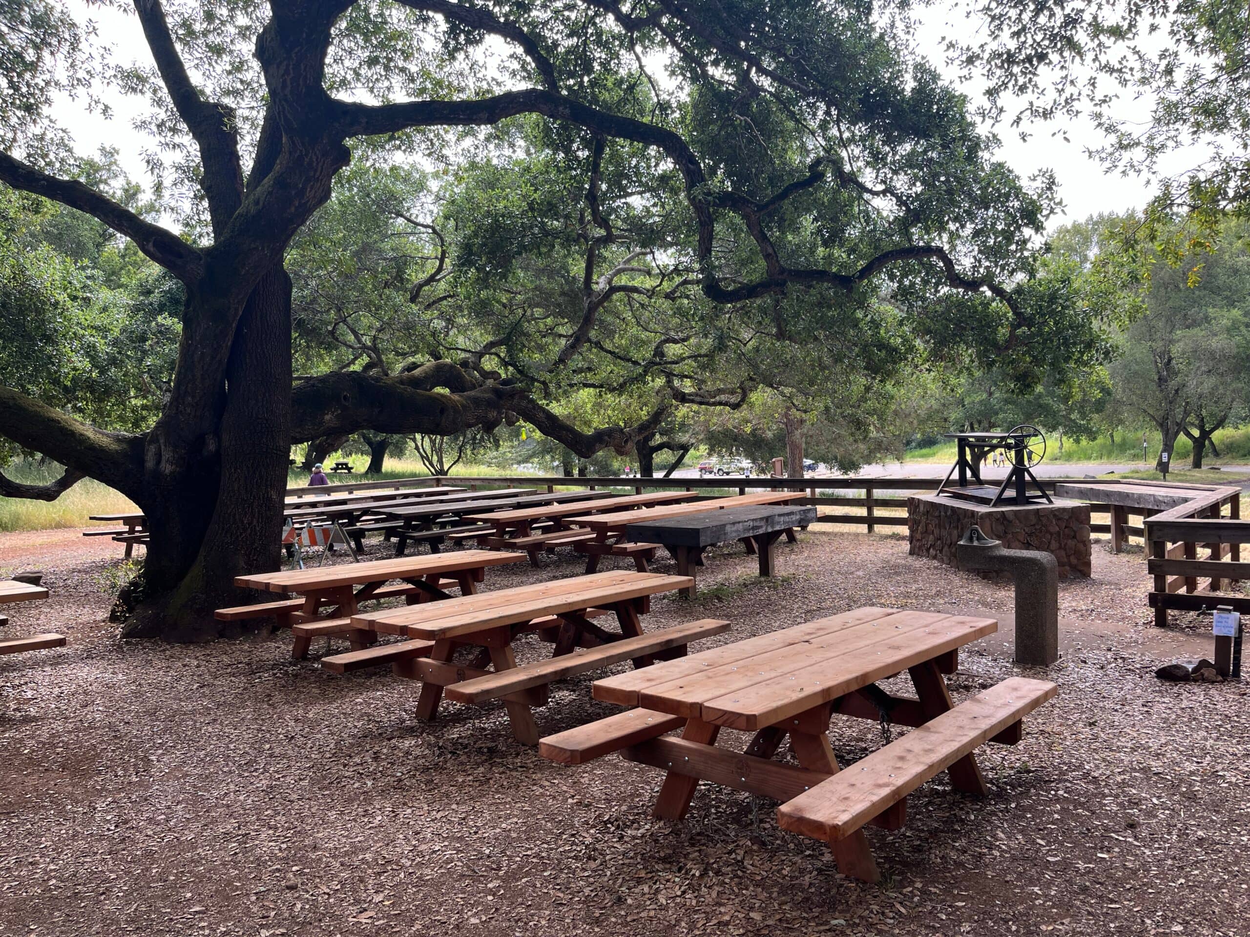 BBQ & Picnic Paradise