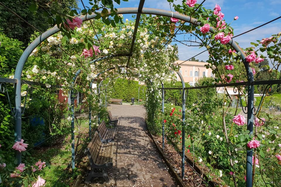 The Rose Tunnel