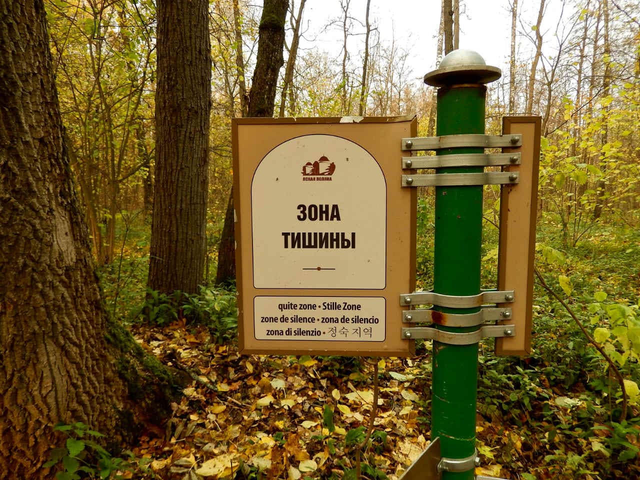 Tolstoy's Simple Grave