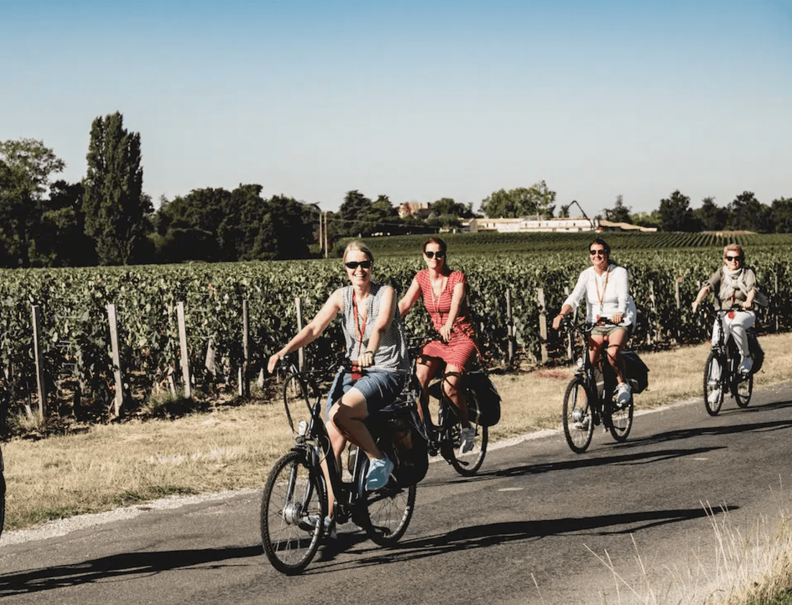 Electric Bike Wine Tours