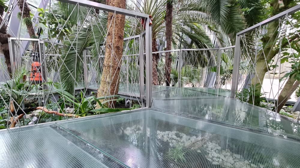 Exotic Greenhouse (Palm House)