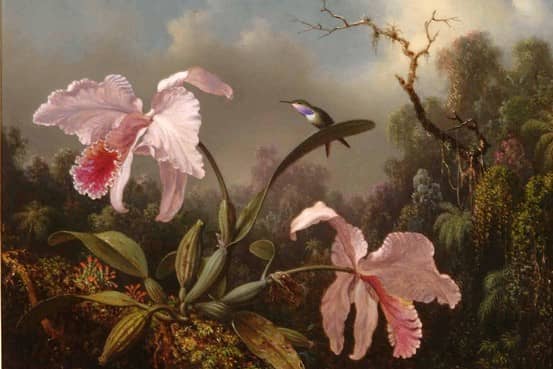 American & European Art Collection