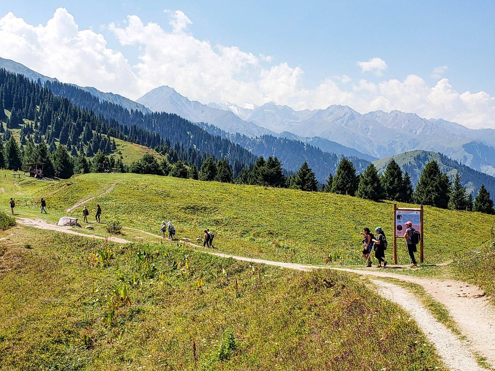 Challenging Ascent
