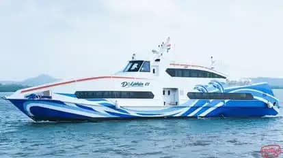 Dolphin Watching
