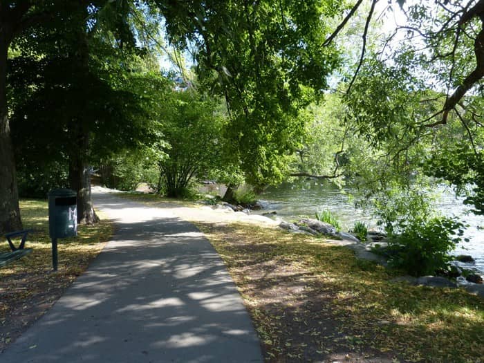 Forested Hiking Trails