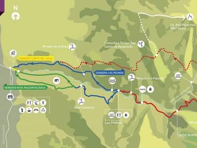 Los Peumos Trail