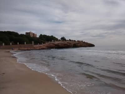 Scenic Coastal Walk