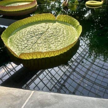 Formal Gardens & Ponds
