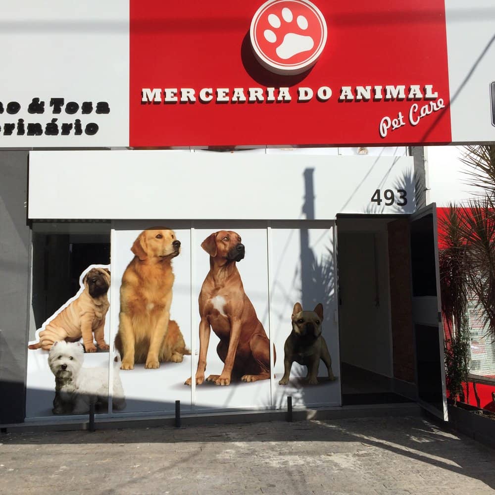 Dog Adoption Corner