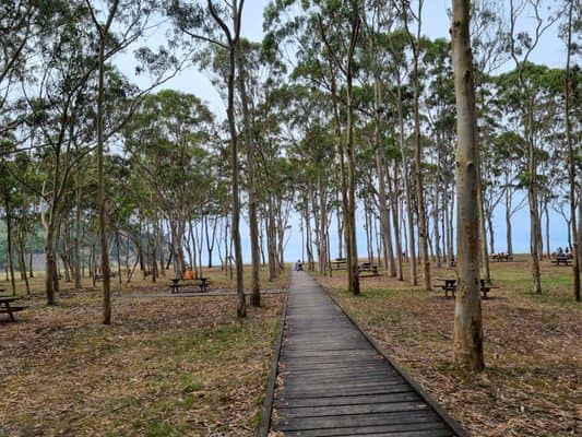 Wooden Boardwalk Stroll