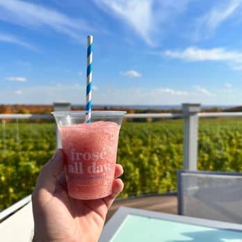 Award-Winning Frosé & Wine Slushies