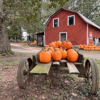 Hayrides & Play Areas