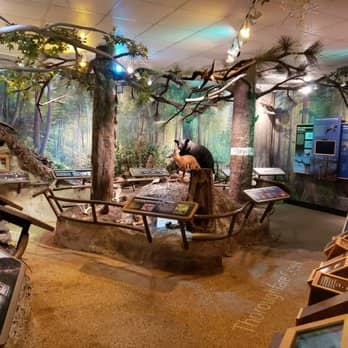 Native American History Exhibits