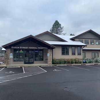 Veterinary Clinic Excellence