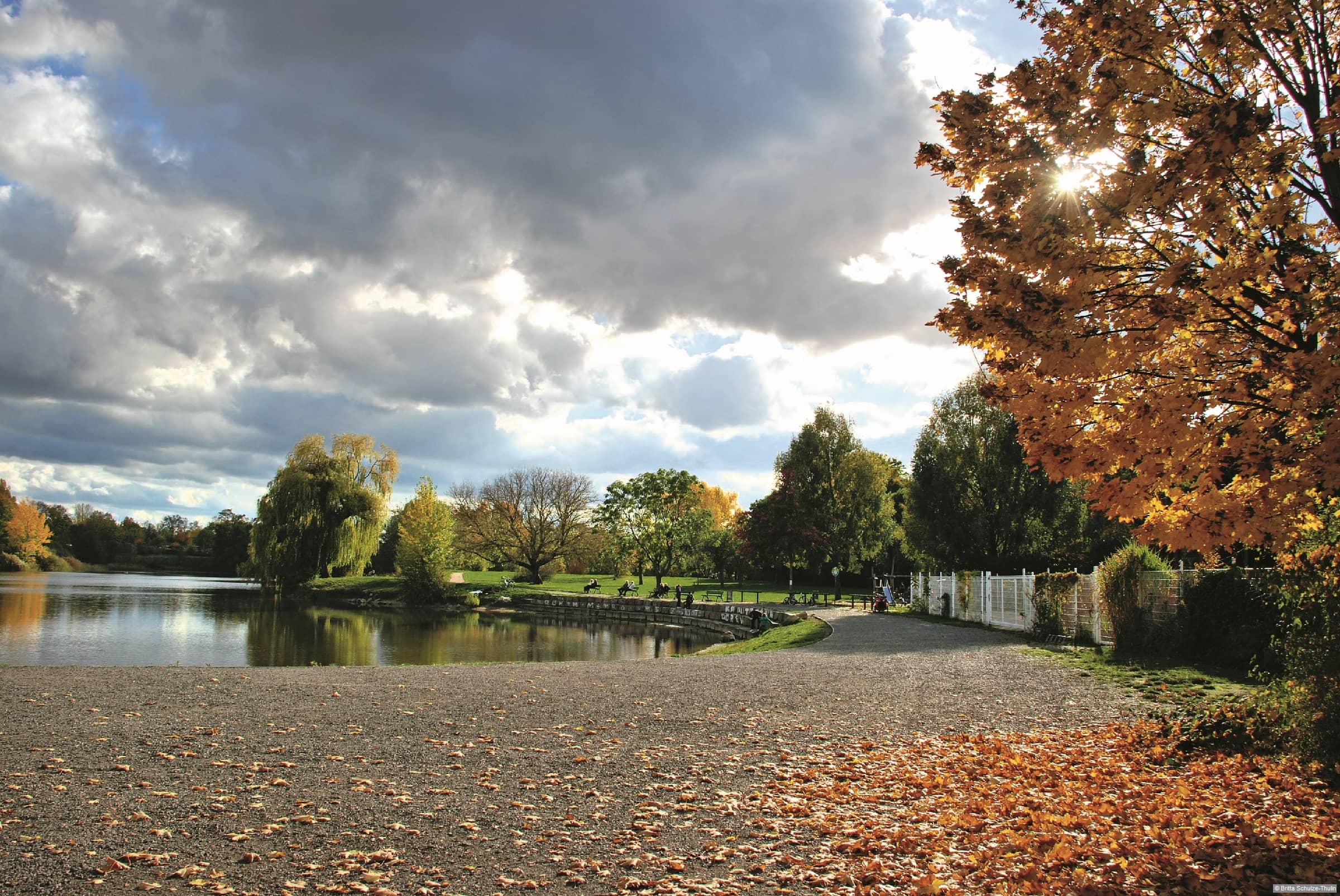 Panoramic Nature Views