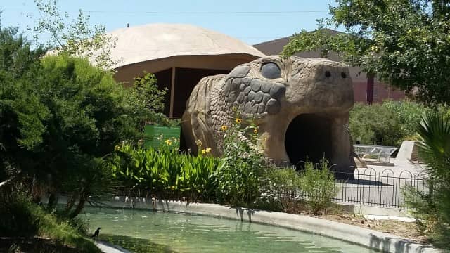 Botanical Gardens Oasis