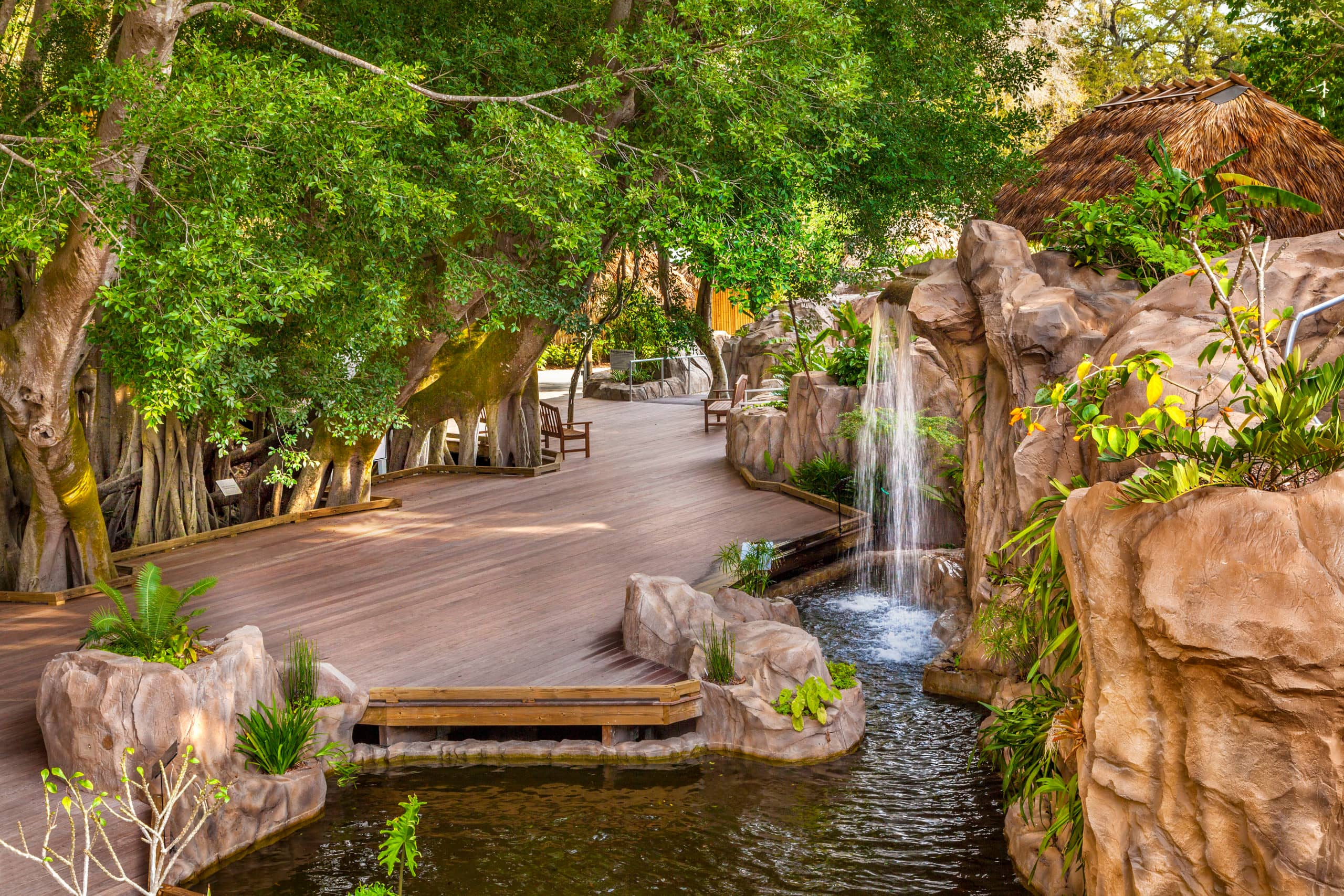 Children's Rainforest Garden