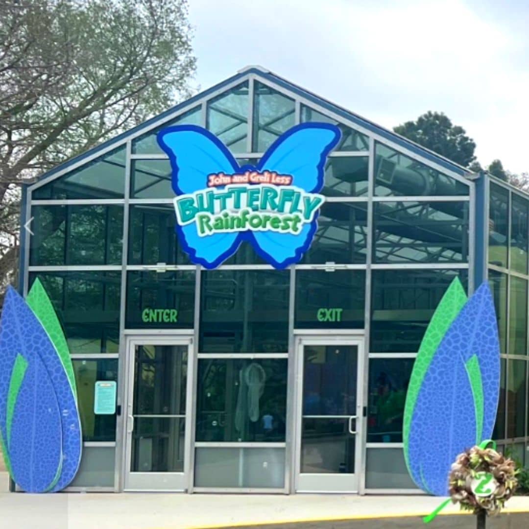 Butterfly Exhibit
