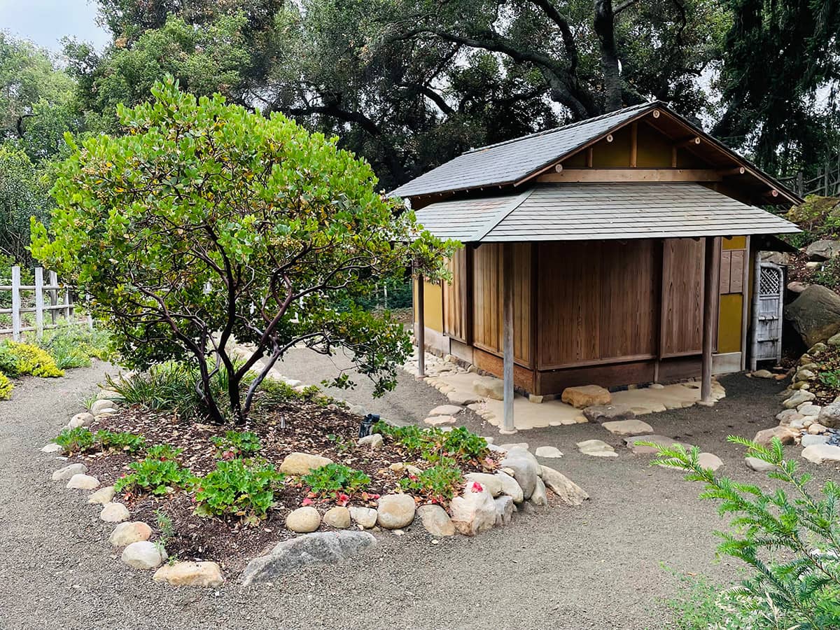 Japanese Tea Garden