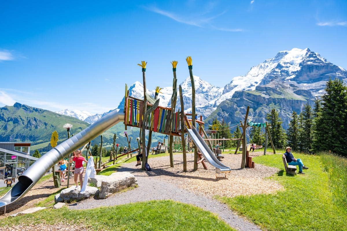 Allmendhubel Flower Park