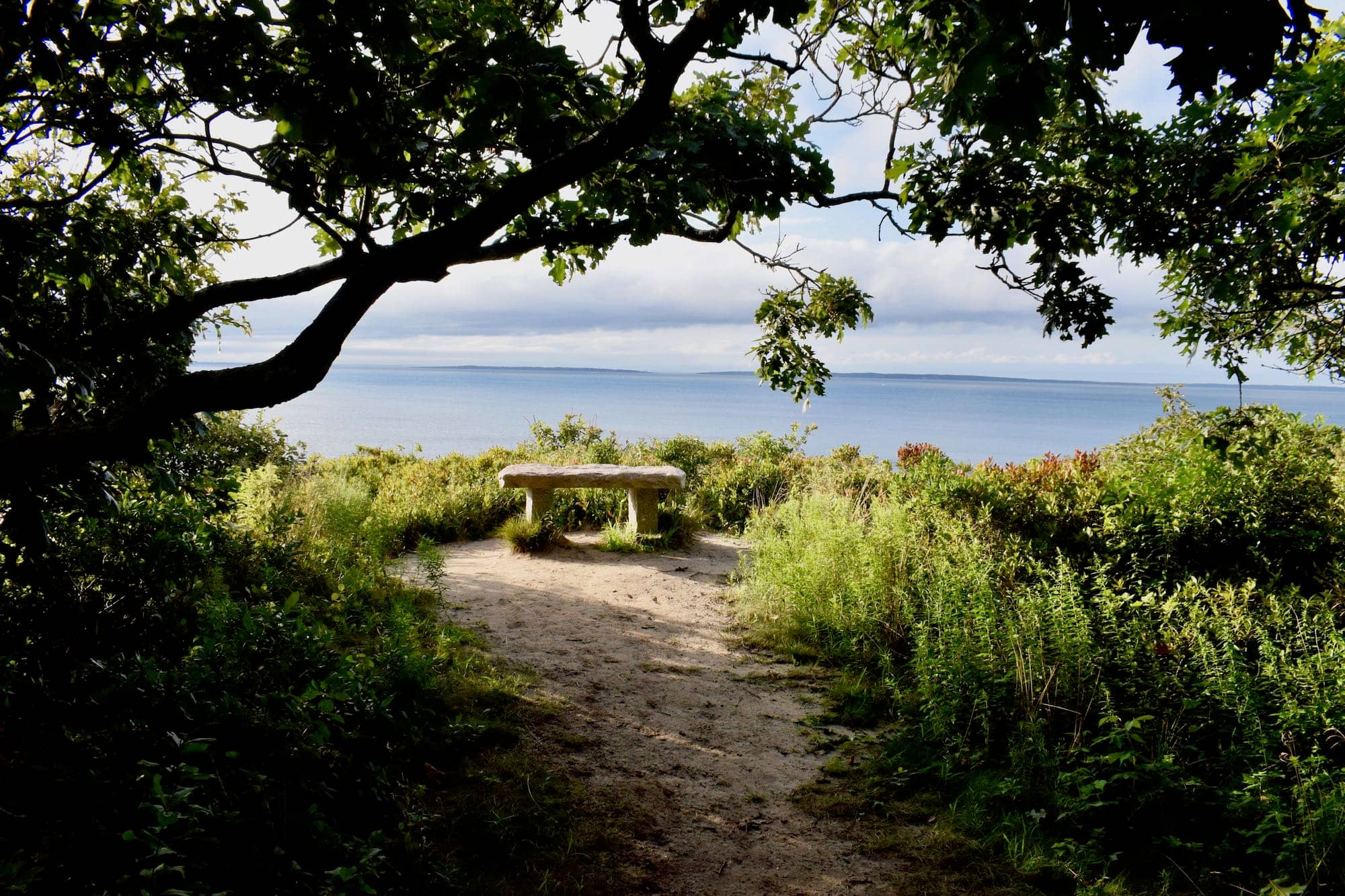 Storywalk Trail