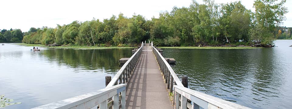 Waterfront Trails