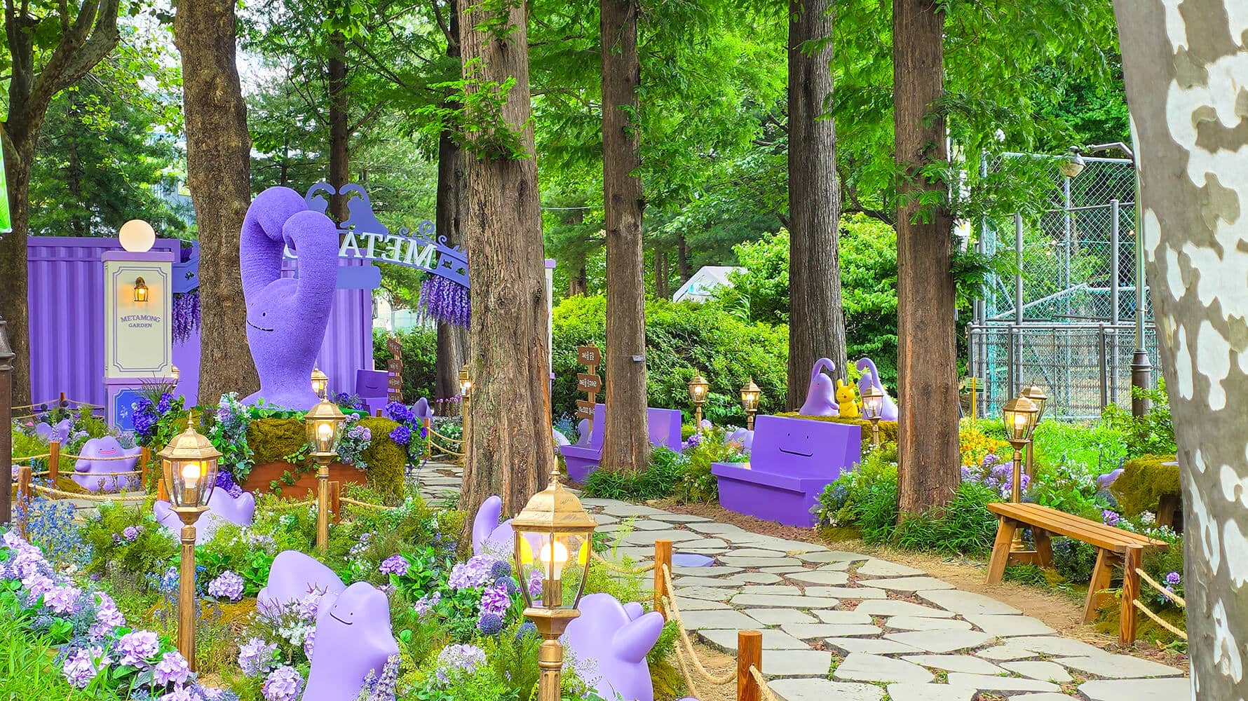 Pokemon Ditto Park