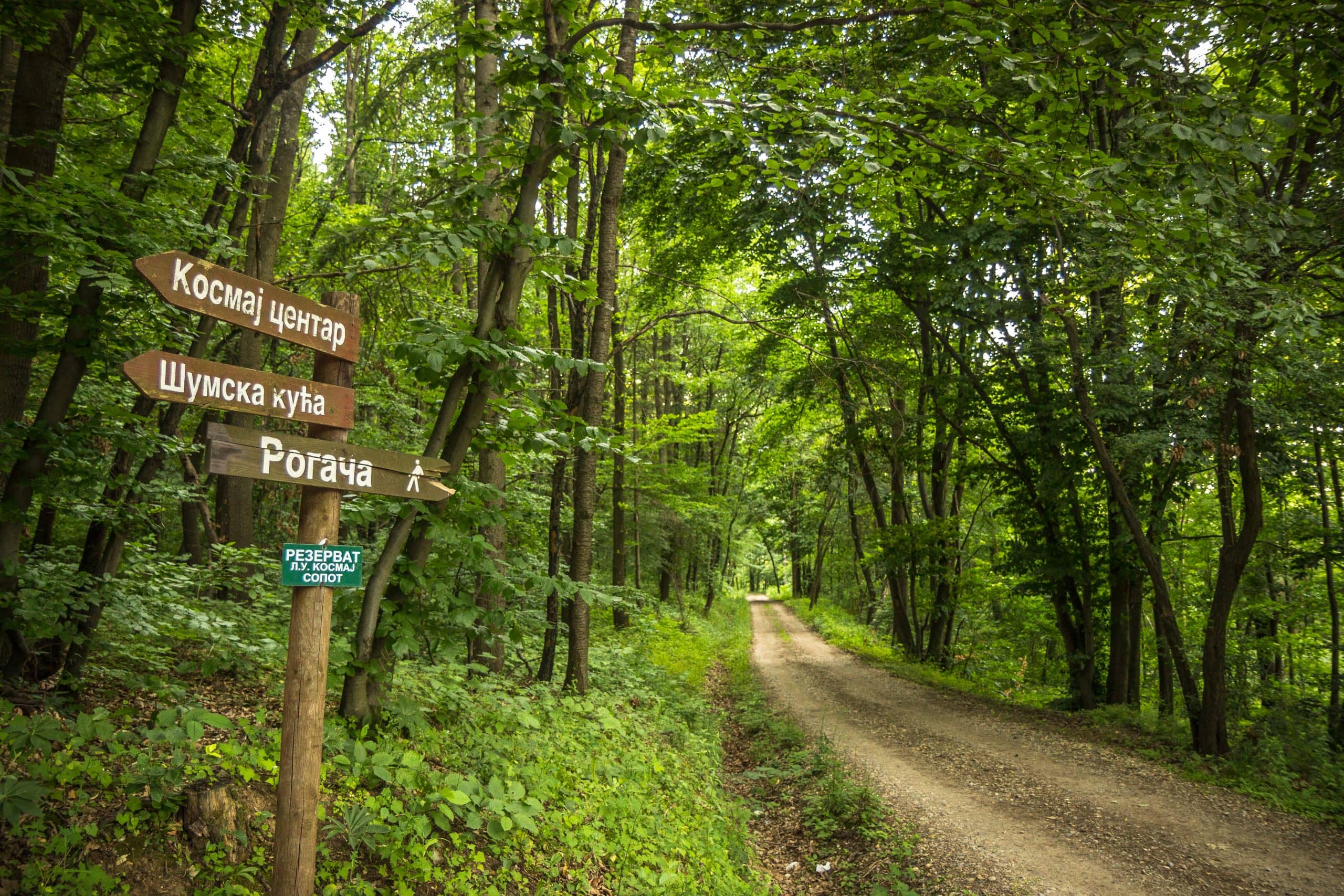 Scenic Hiking Trails