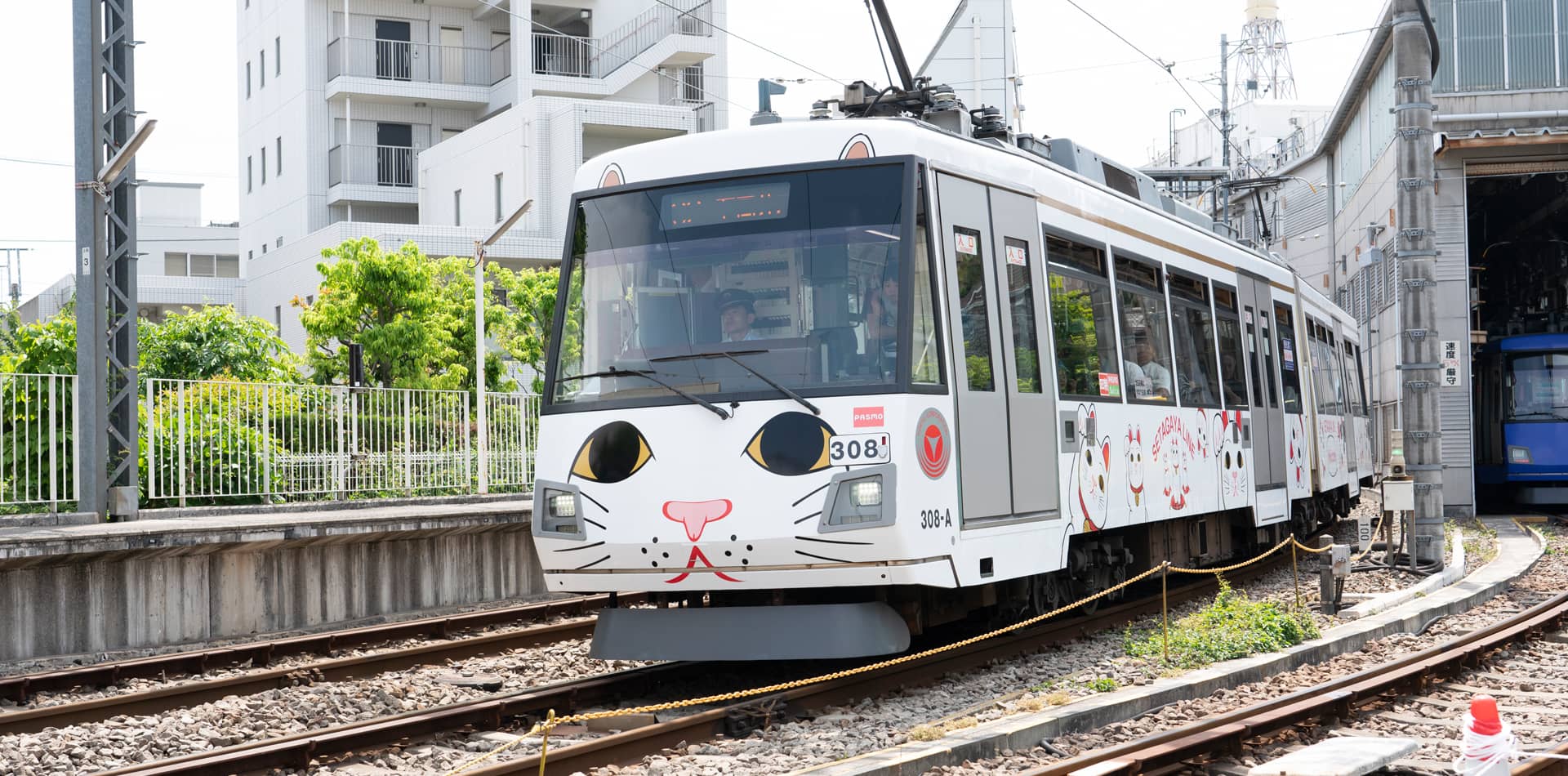The Lucky Cat Train