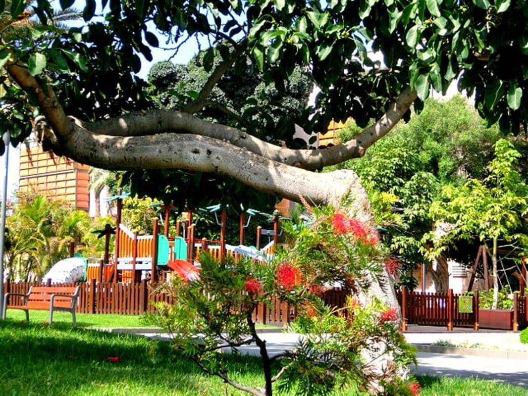 Children's Play Areas