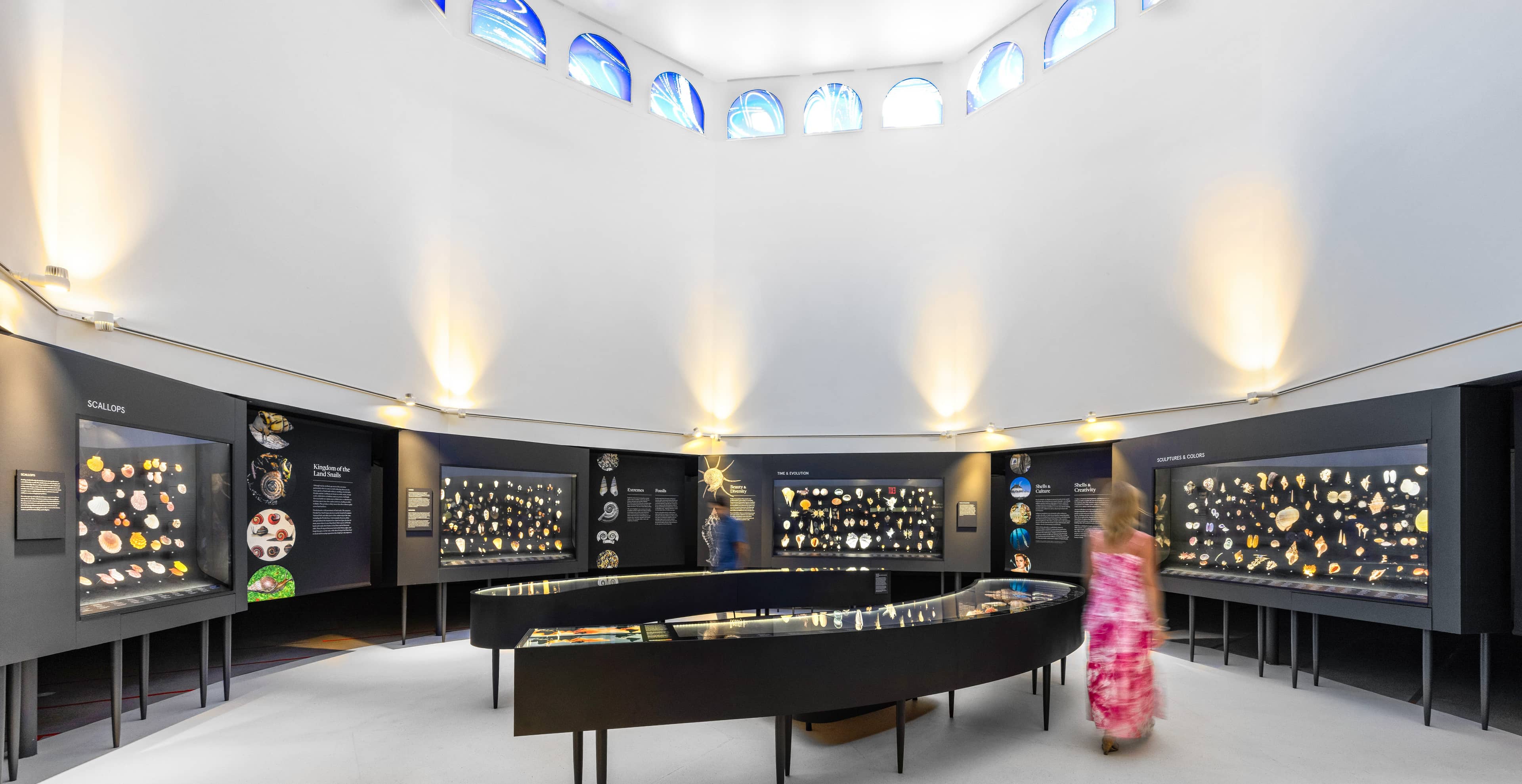 Great Hall of Shells