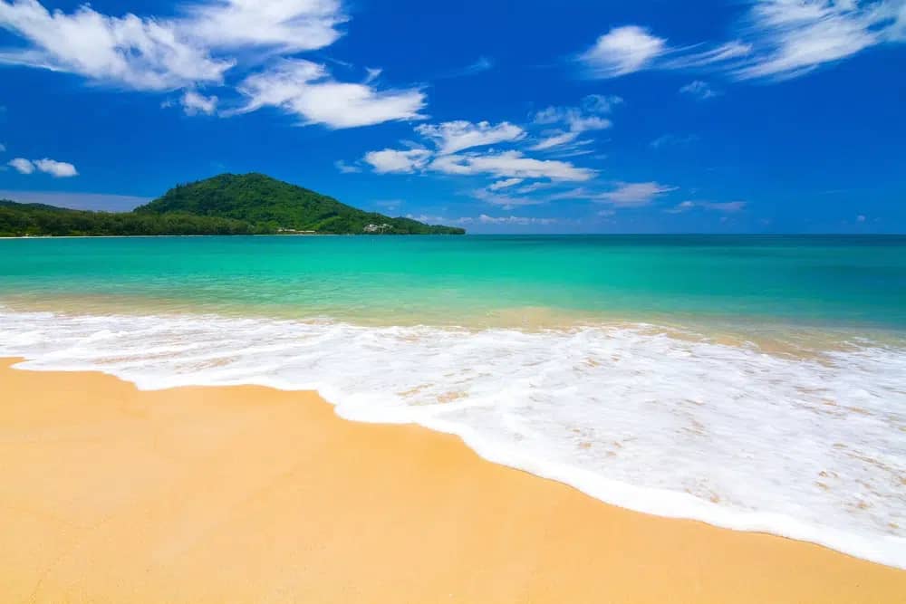 Serene Beachfront