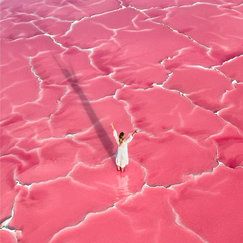 Salt Marshes (Salins d'Aigues-Mortes)