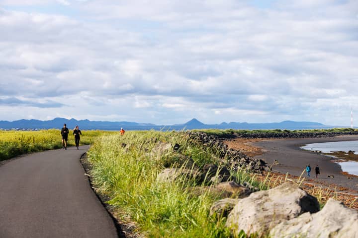 Coastal Boardwalk