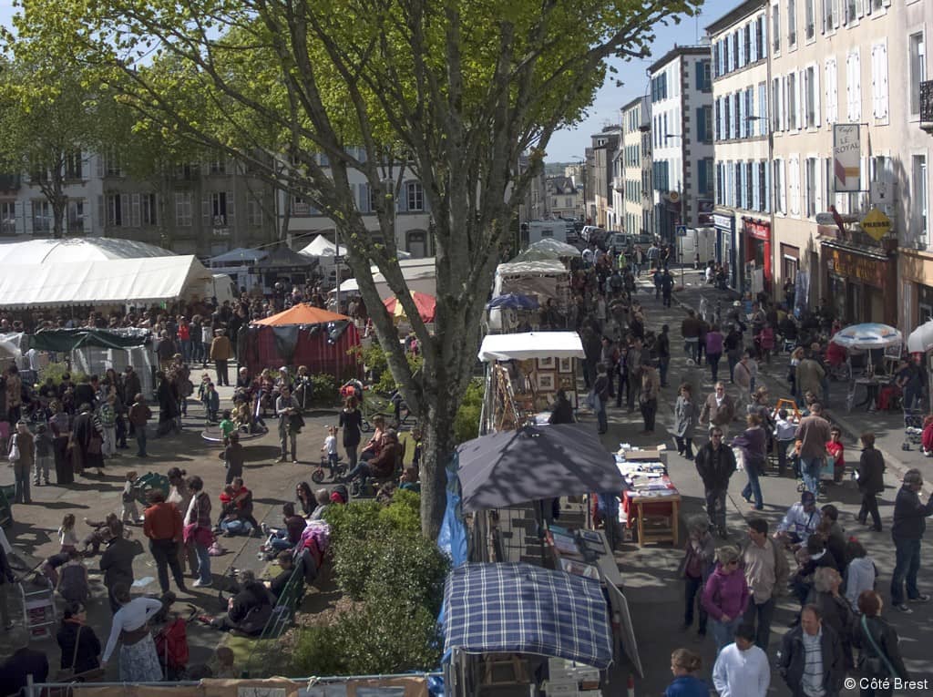 Local Markets and Shops