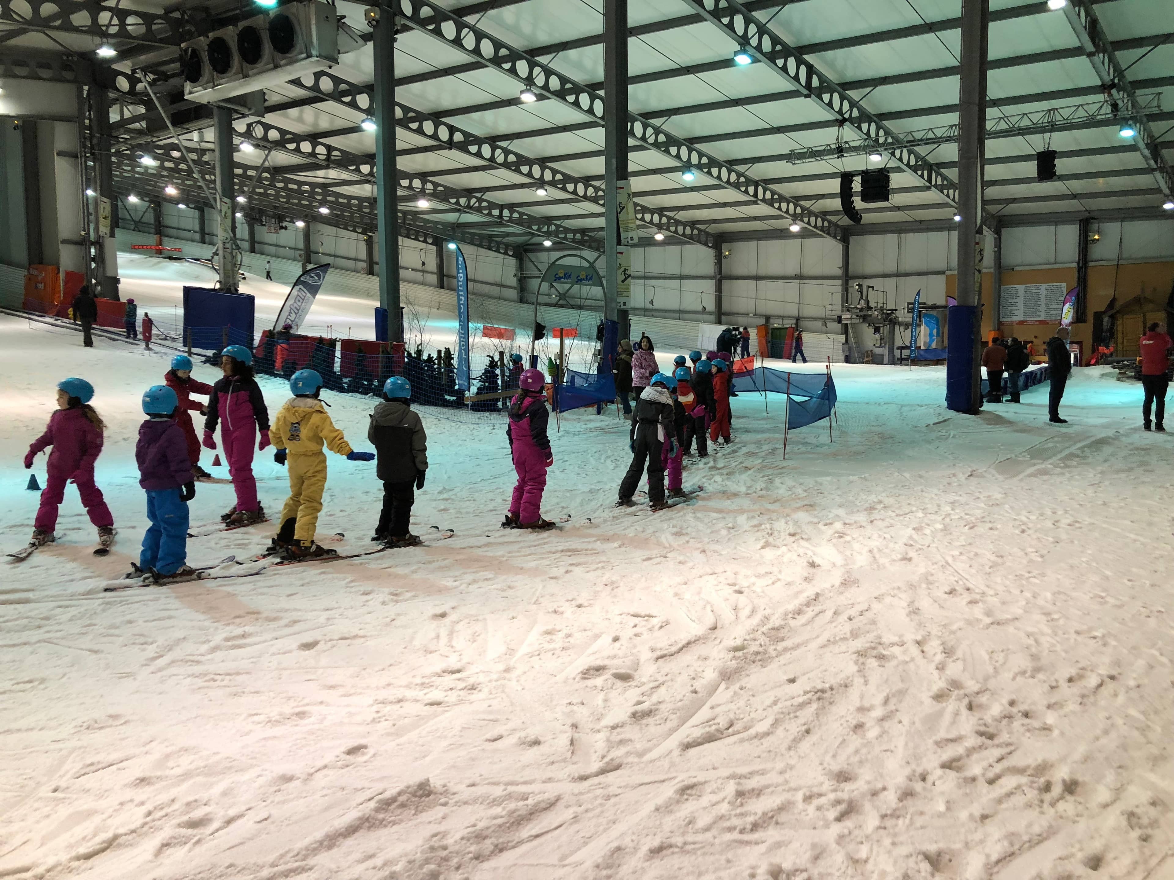 Luge Activity