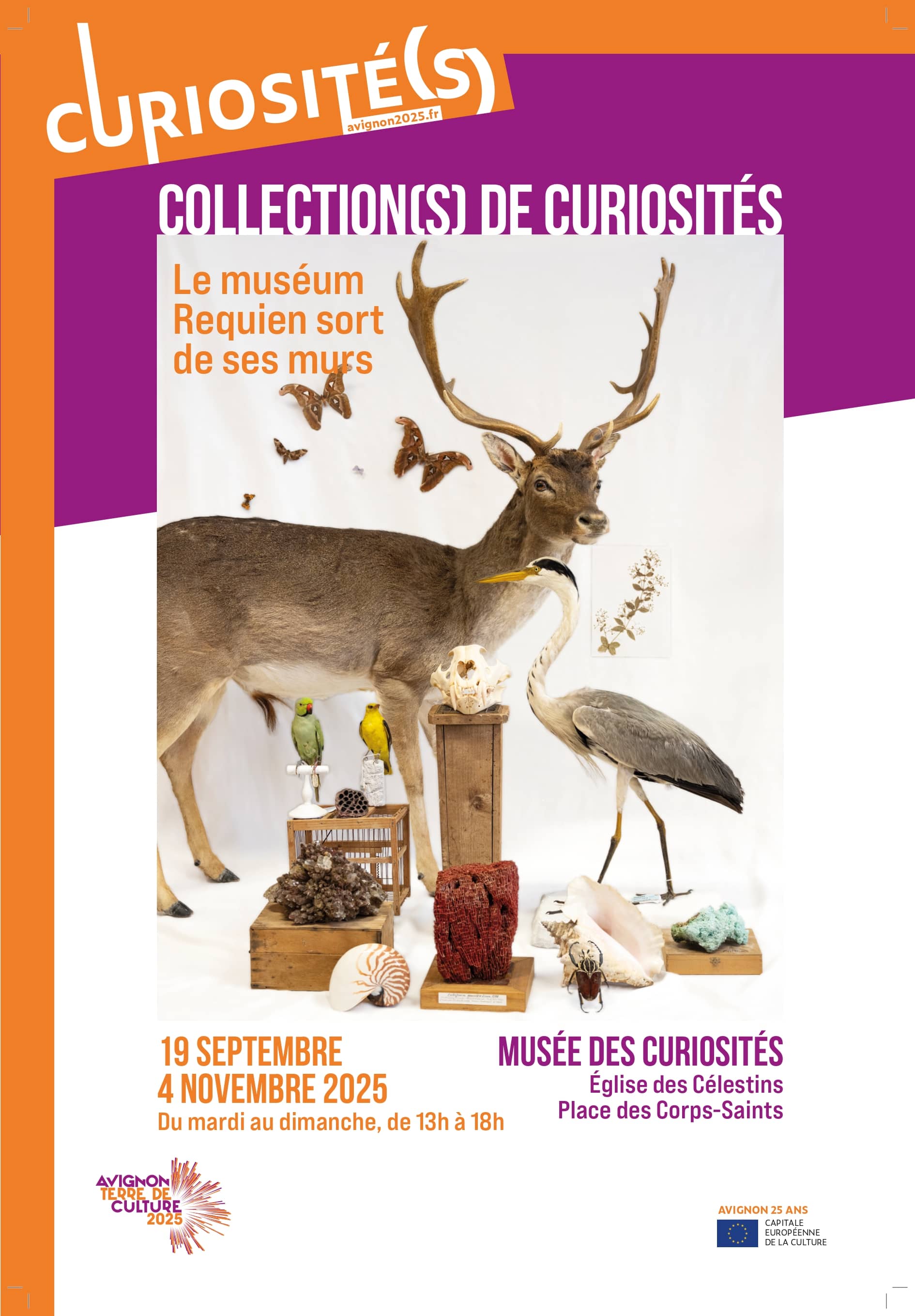 Zoological Collections