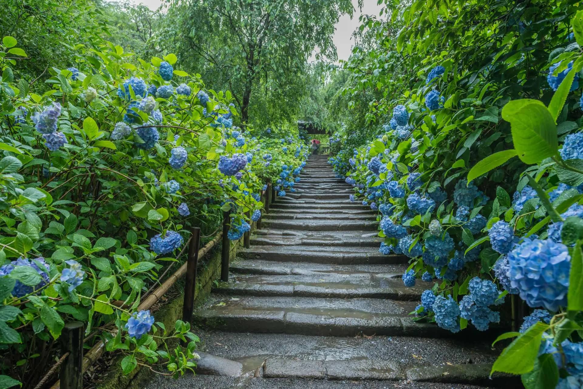 The 'Ba Na Hills' Style Bridge