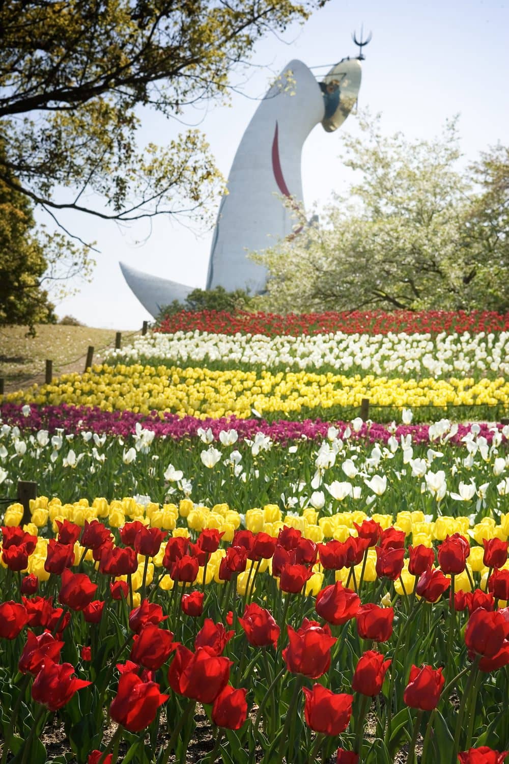 Seasonal Flower Gardens